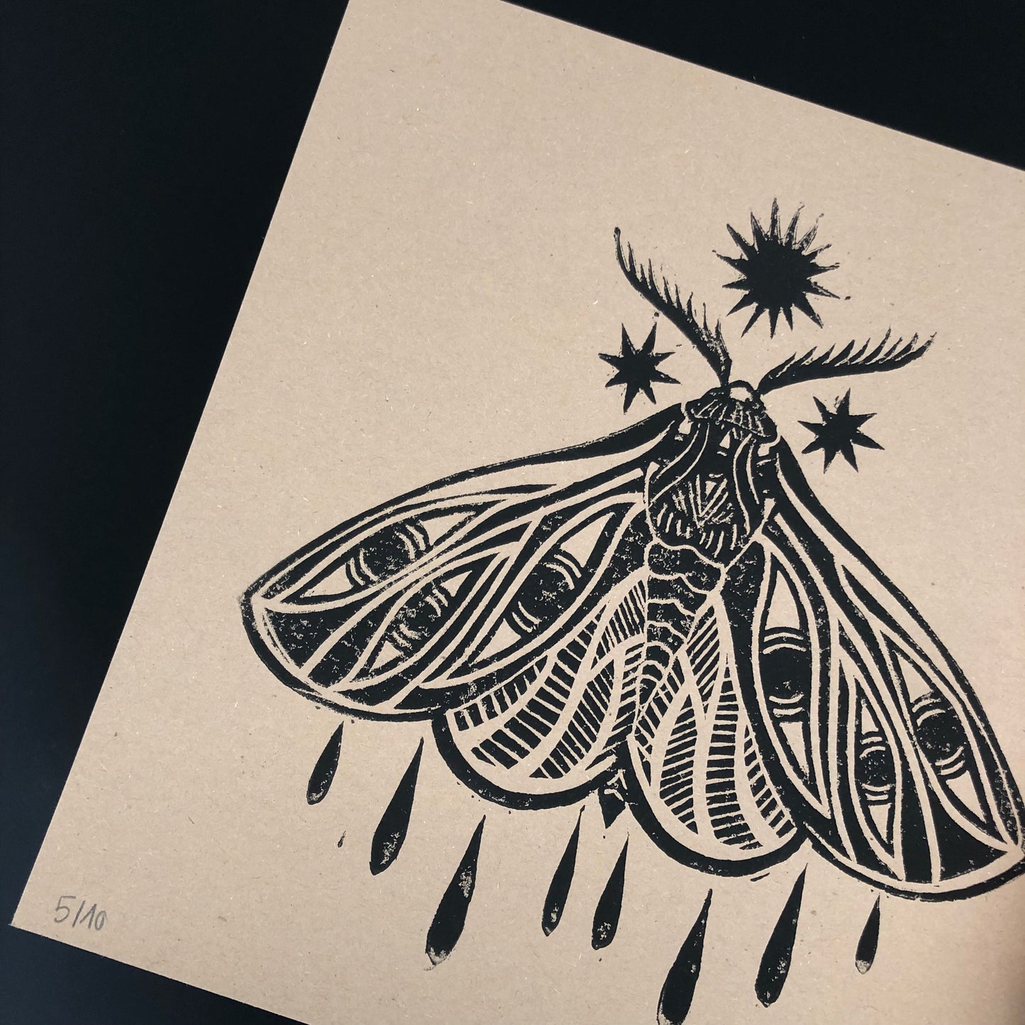 ‎ ✷ Papillon Cosmique - 3 couleurs