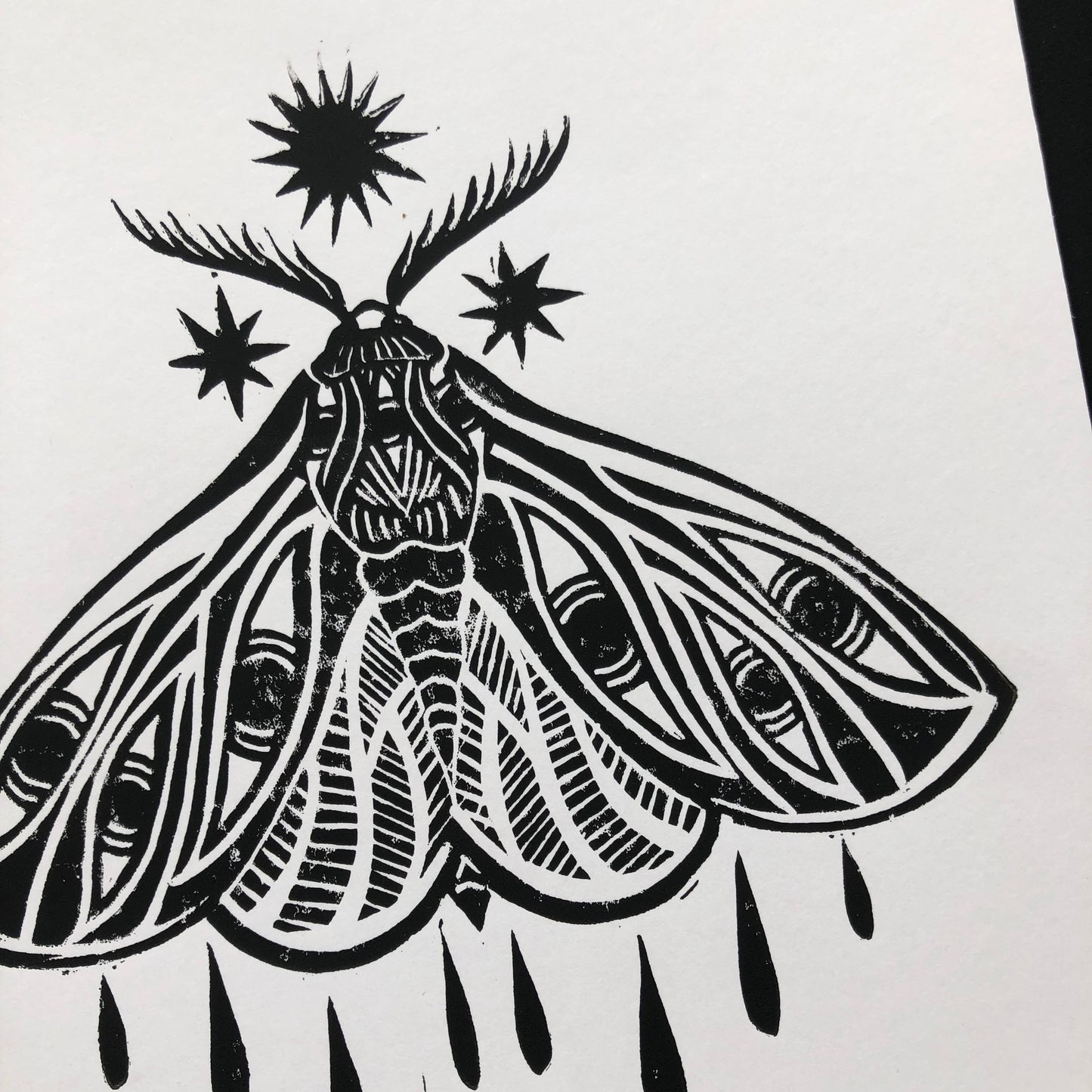 ‎ ✷ Papillon Cosmique - 3 couleurs